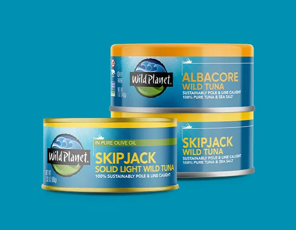 Wild Albacore Tuna in Water
